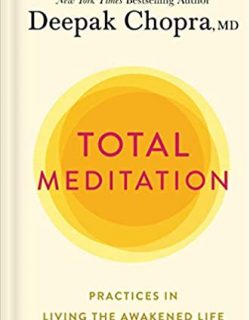 Total Meditation: Practices in Living the Awakened Life